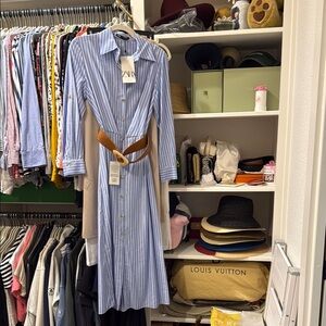 Zara Blue Striped Dress with Tan Belt